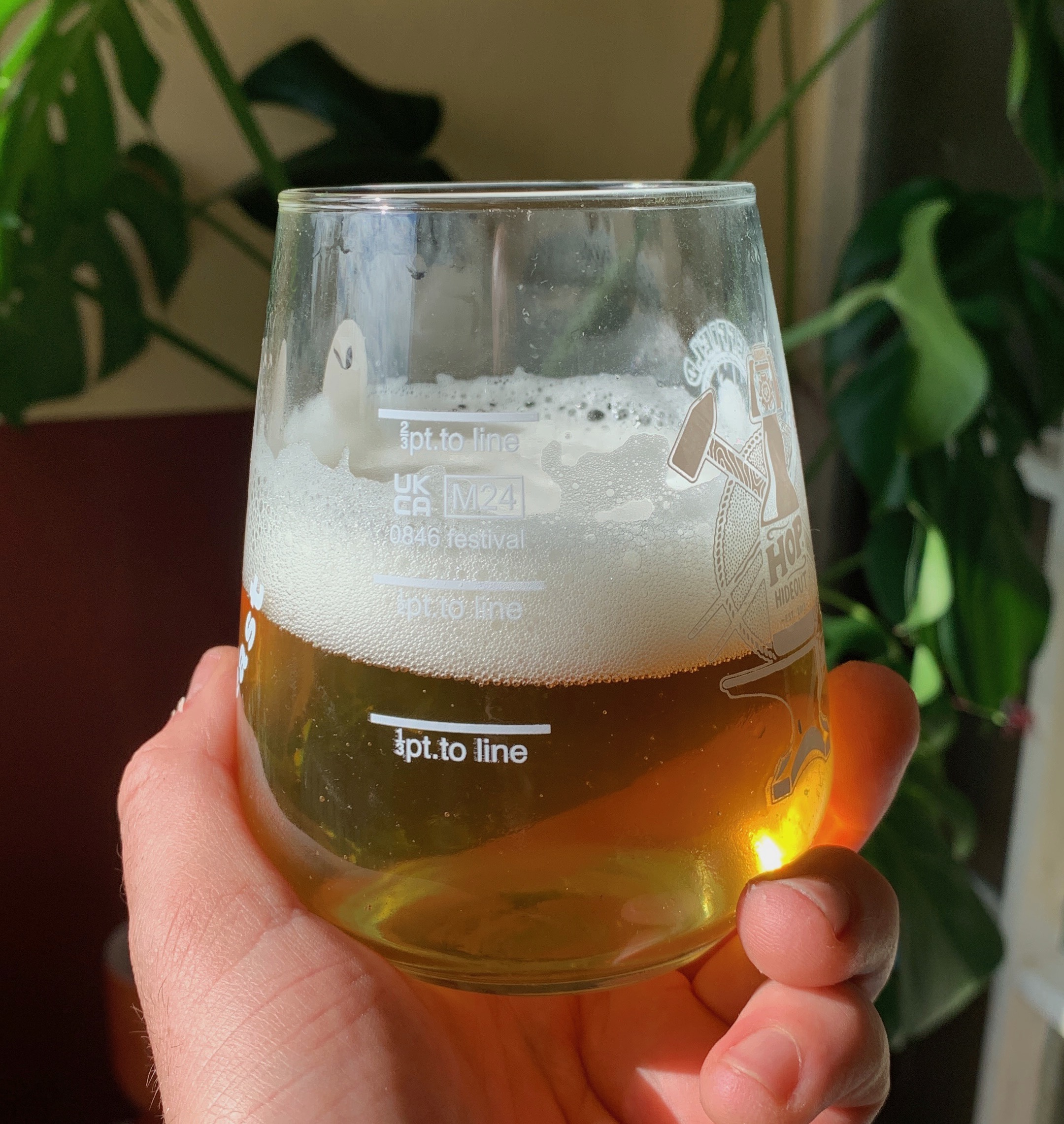 fermentations