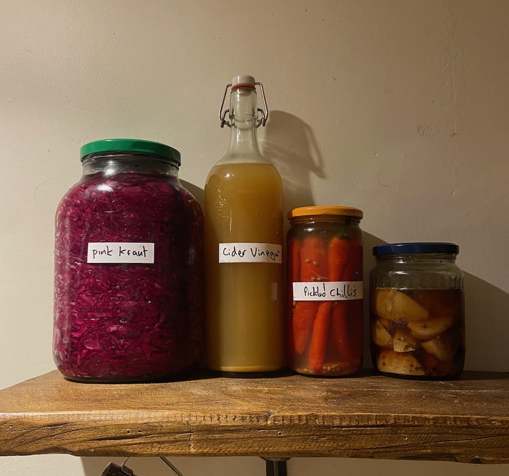 fermentations
