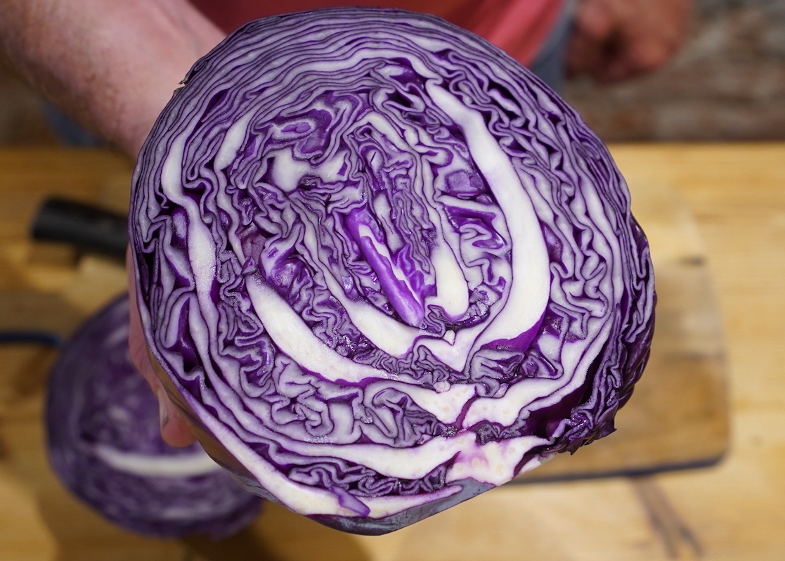 half cabbage